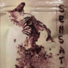 Sensate Herbal Incense 1g