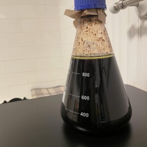 5-MeO-DMT