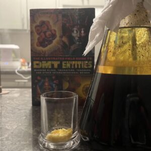 N-N DMT 500mg Carts